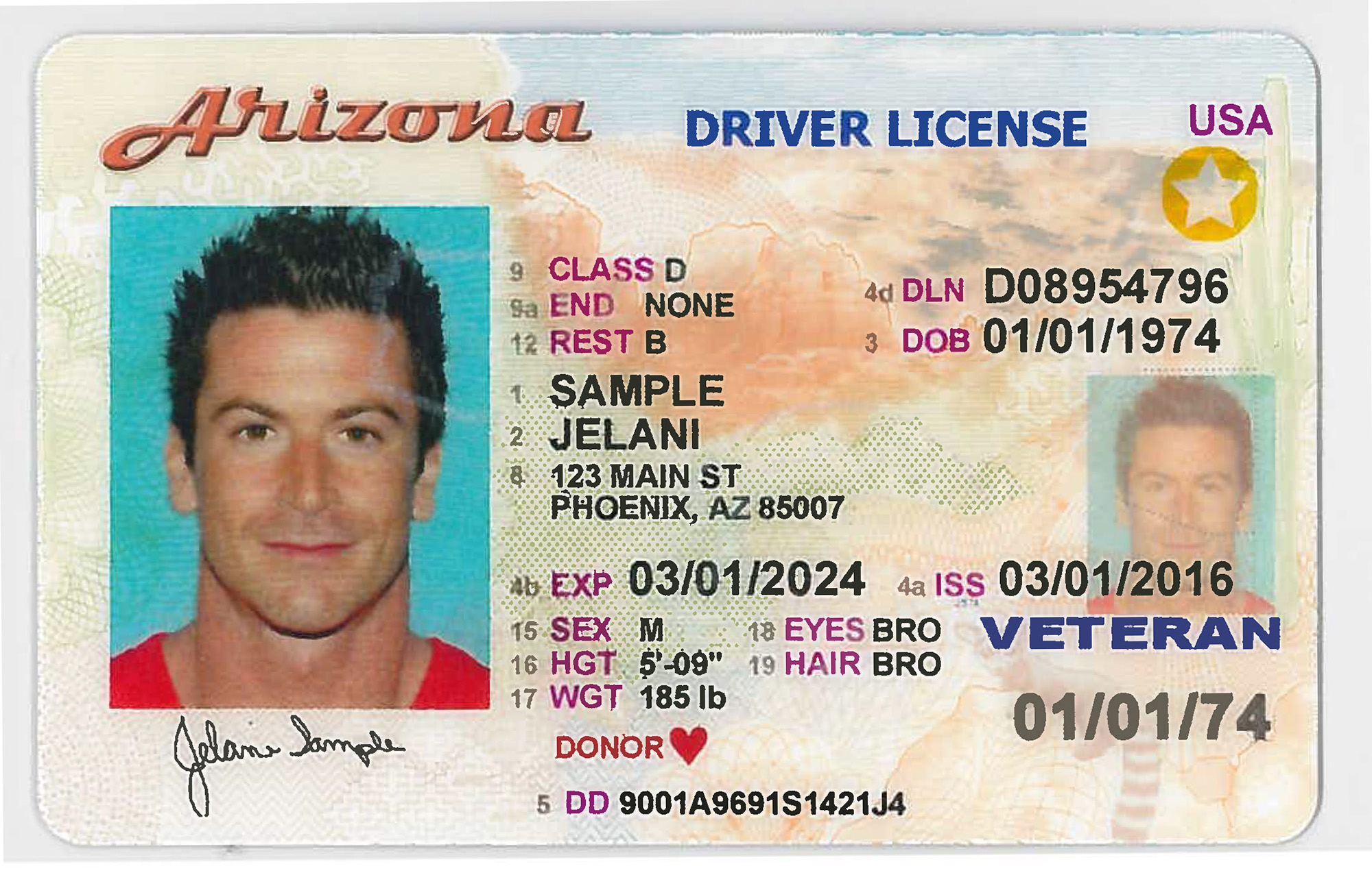 drivers card